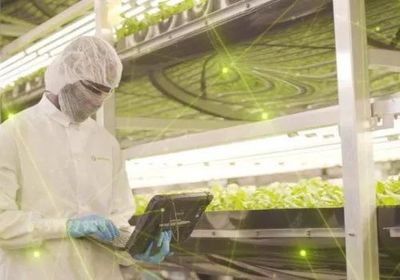 智慧農(nóng)業(yè)新浪潮 2021年全球九大植物工廠動(dòng)態(tài)盤(pán)點(diǎn)與智能農(nóng)業(yè)管理趨勢(shì)